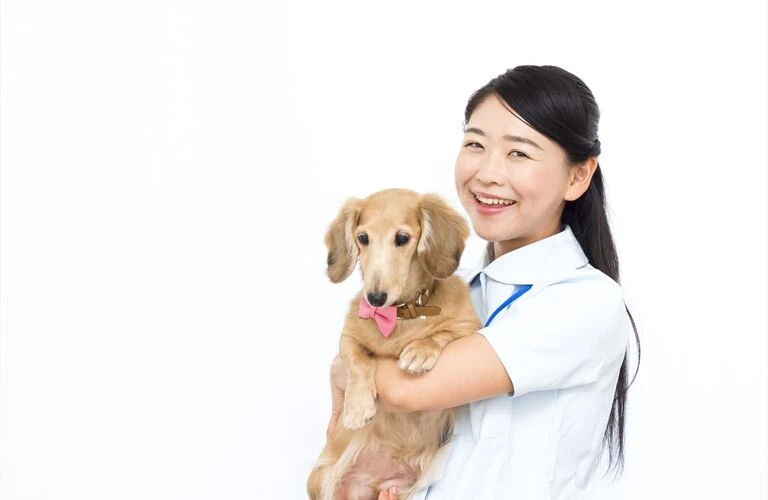 セカンドオピニオンの利用 | 府中市の動物病院なら府中もも動物病院
